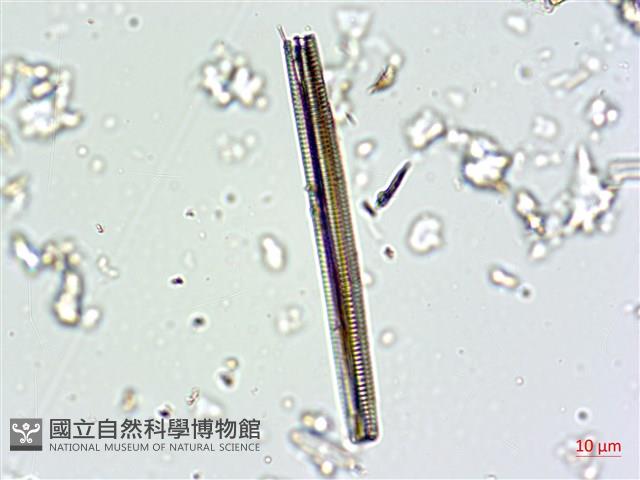 登錄號:A00004662藏品圖，第4張