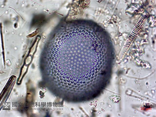 登錄號:A00004602藏品圖，第3張