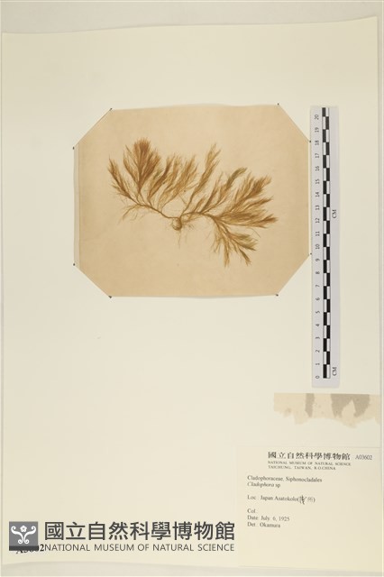 登錄號:A00003602藏品圖，第3張