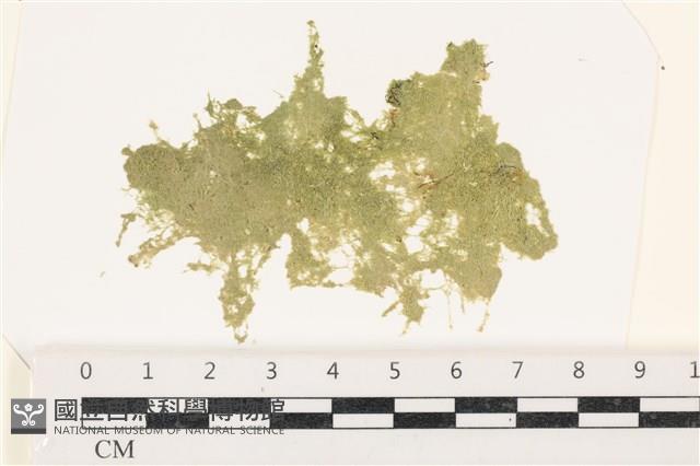 登錄號:A00002202藏品圖，第1張