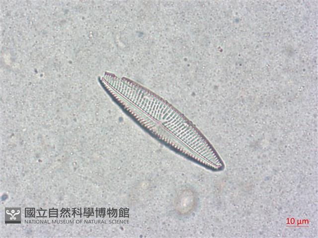 登錄號:A00004502藏品圖，第3張