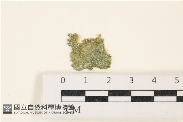 登錄號:A00003402藏品圖，第1張