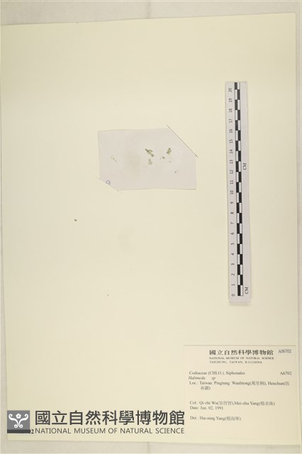 登錄號:A00006702藏品圖，第3張