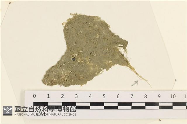 登錄號:A00008082藏品圖，第1張