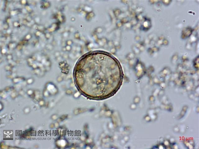登錄號:A00004582藏品圖，第4張