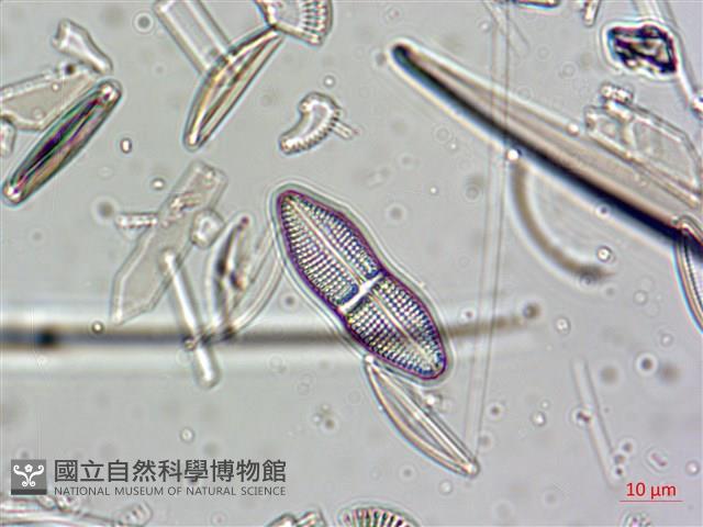 登錄號:A00004638藏品圖，第3張