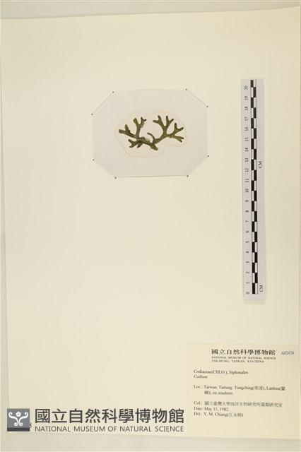 登錄號:A00002438藏品圖，第3張