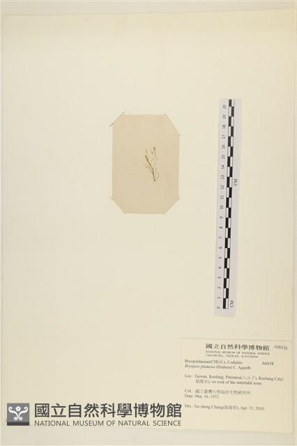 登錄號:A00006438藏品圖，第3張