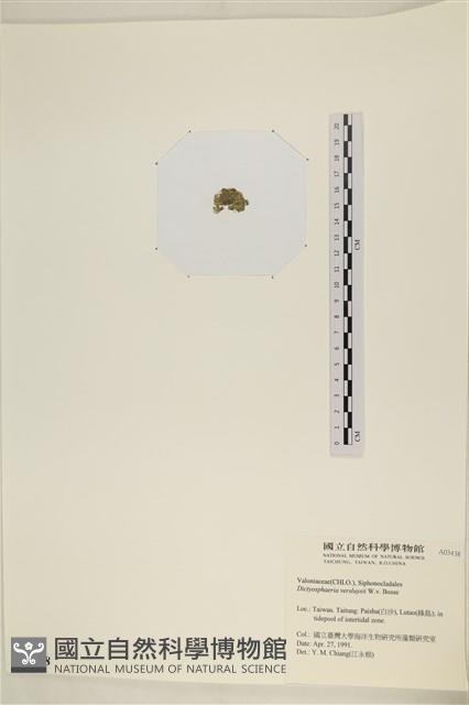 Accession Number:A00003438 Collection Image, Figure 3, Total 3 Figures