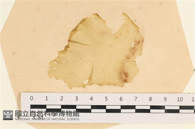 登錄號:A00003838藏品圖，第1張