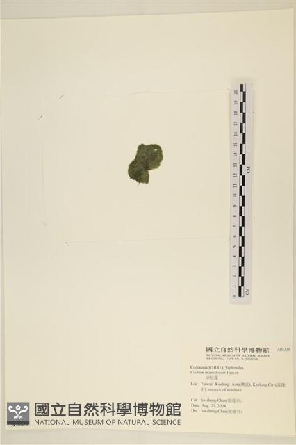 登錄號:A00005338藏品圖，第3張