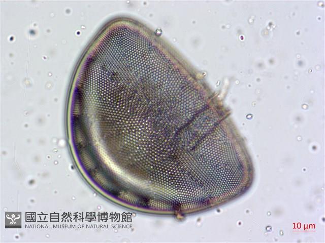 登錄號:A00004658藏品圖，第3張