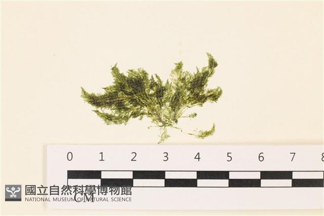 登錄號:A00004958藏品圖，第1張