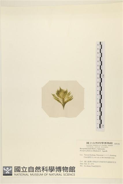 登錄號:A00005358藏品圖，第3張