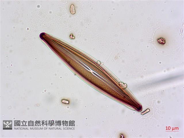 登錄號:A00004628藏品圖，第3張
