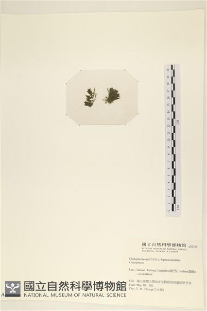 登錄號:A00002428藏品圖，第3張