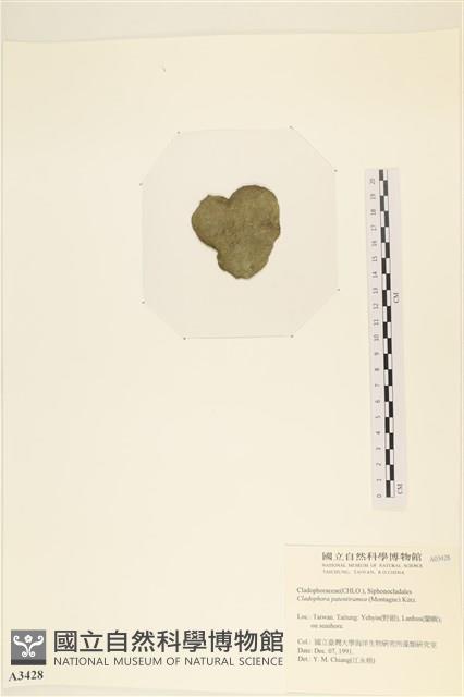 登錄號:A00003428藏品圖，第3張