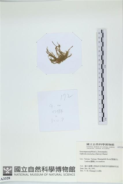 登錄號:A00003328藏品圖，第3張