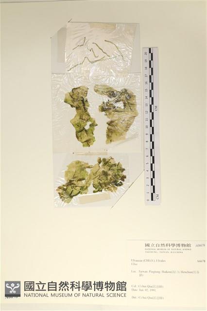 登錄號:A00006678藏品圖，第1張