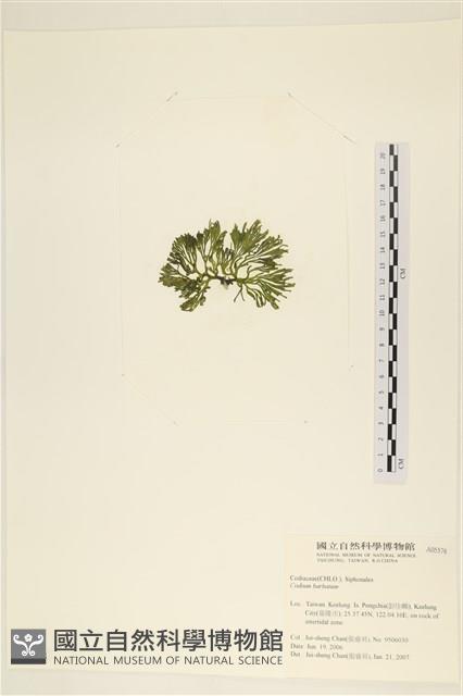 登錄號:A00005578藏品圖，第3張