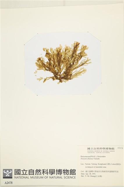 登錄號:A00002478藏品圖，第3張