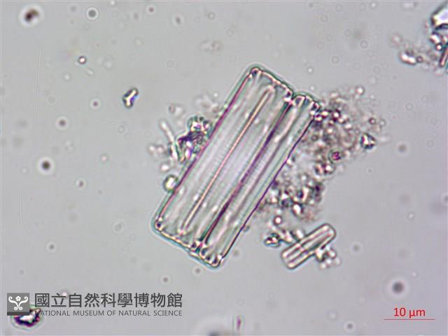 登錄號:A00004618藏品圖，第3張