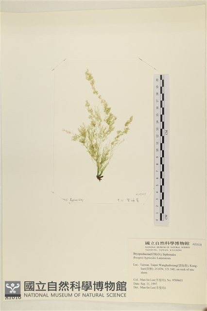 登錄號:A00001618藏品圖，第1張