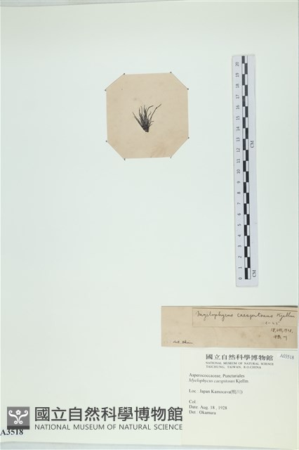 登錄號:A00003518藏品圖，第3張