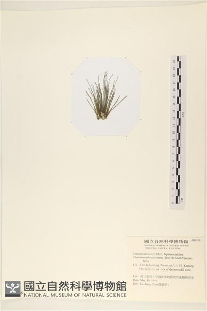 Accession Number:A00005418 Collection Image, Figure 3, Total 3 Figures