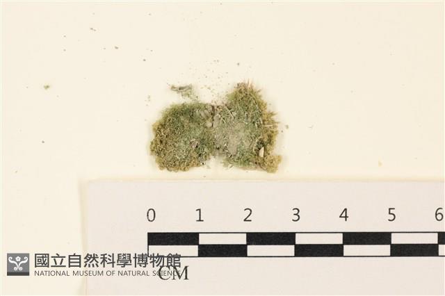 登錄號:A00005098藏品圖，第1張
