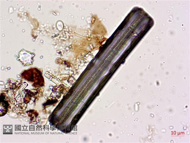 登錄號:A00004598藏品圖，第3張