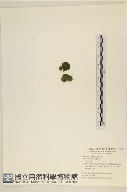 登錄號:A00005598藏品圖，第3張