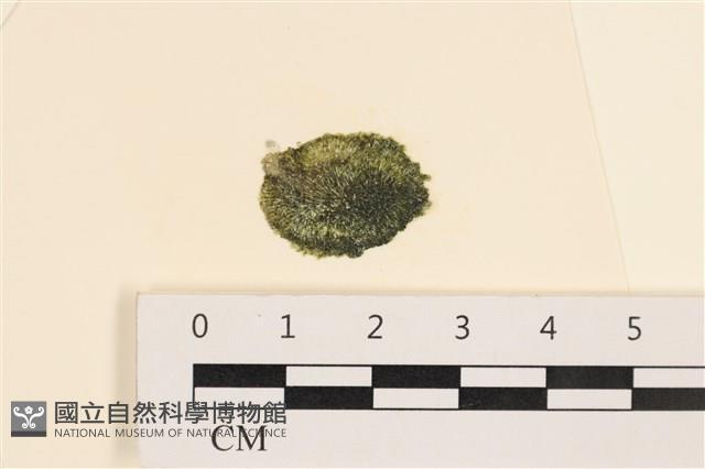 登錄號:A00004998藏品圖，第1張