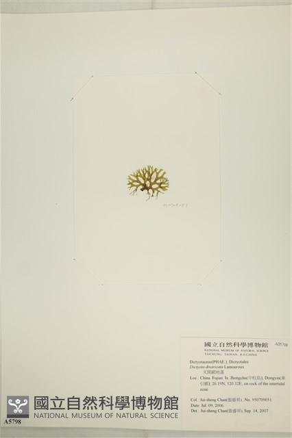 登錄號:A00005798藏品圖，第3張