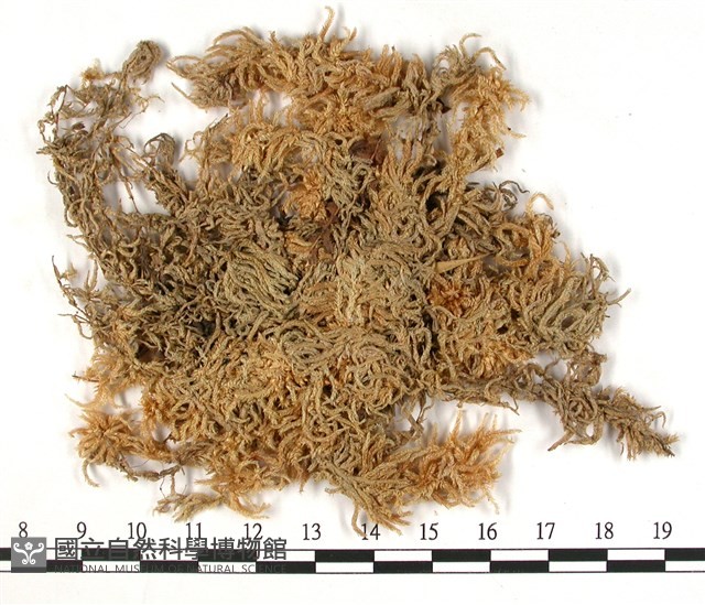 登錄號:B00003648藏品圖，第3張