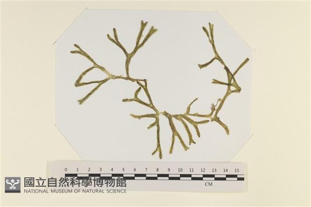 登錄號:A00005048藏品圖，第3張