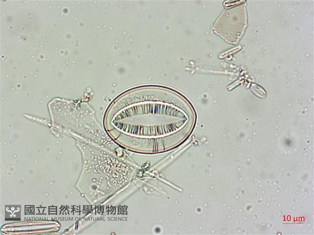 登錄號:A00004548藏品圖，第3張