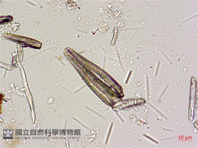 登錄號:A00004668藏品圖，第3張