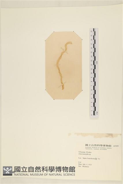 登錄號:A00003608藏品圖，第3張
