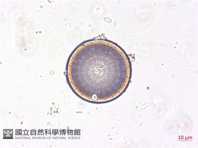 登錄號:A00004508藏品圖，第3張