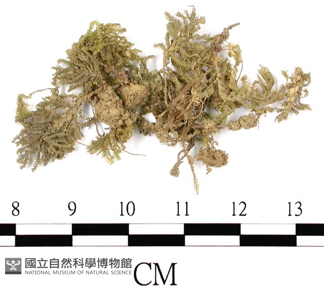 登錄號:B00010508藏品圖，第3張