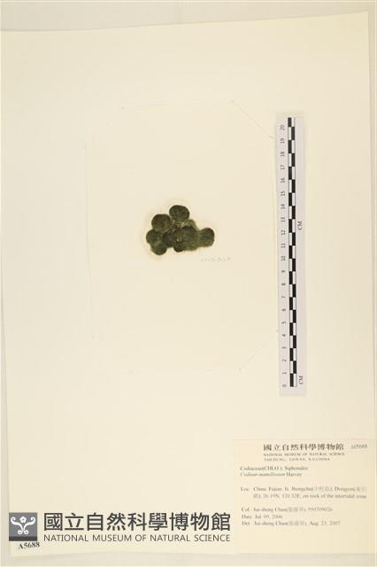 登錄號:A00005688藏品圖，第3張