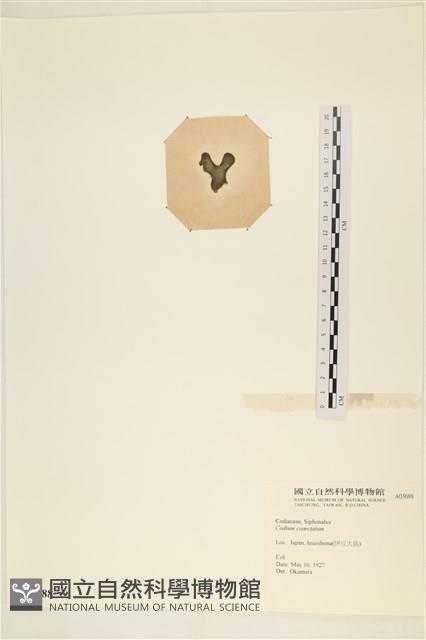 登錄號:A00003688藏品圖，第3張