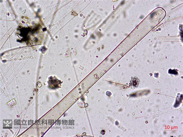 登錄號:A00004588藏品圖，第3張
