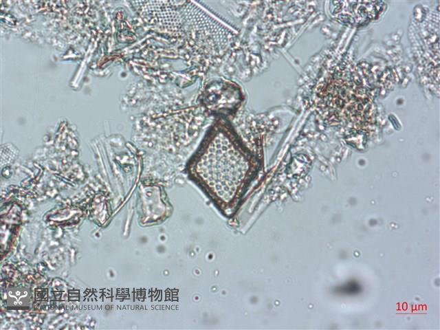 登錄號:A00004488藏品圖，第3張