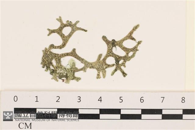 登錄號:A00004388藏品圖，第1張