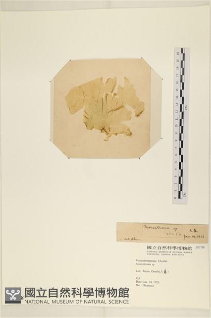 登錄號:A00003788藏品圖，第3張