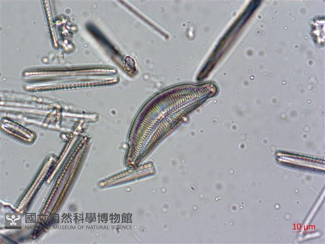 登錄號:A00004639藏品圖，第3張