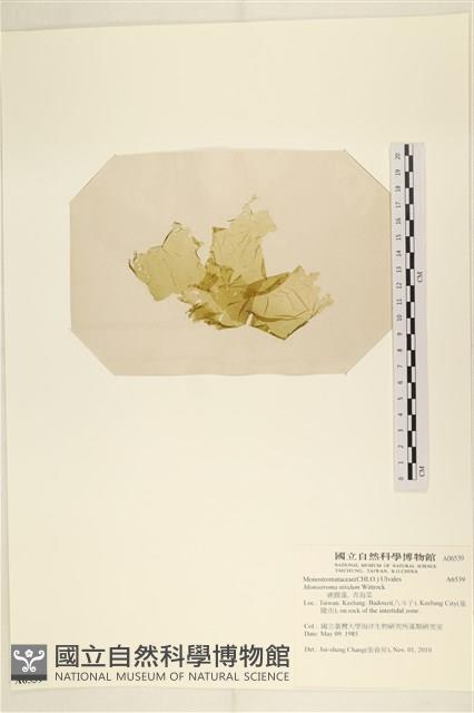 登錄號:A00006539藏品圖，第3張