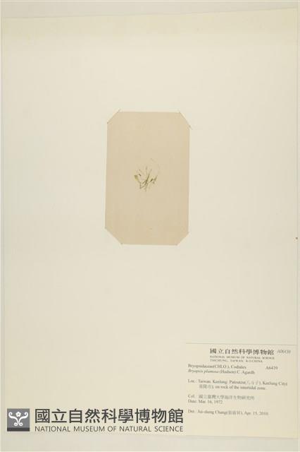 登錄號:A00006439藏品圖，第3張